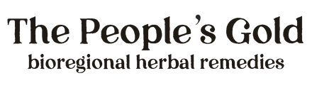 Logo2